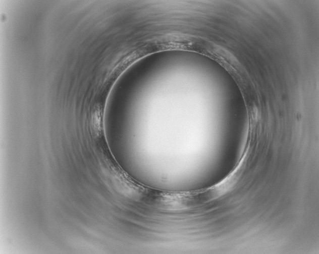 X0000059100190200510101228