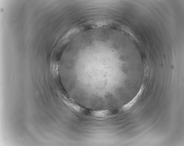 X0000059100191200510101228