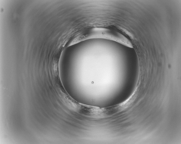 X0000059100192200510101228