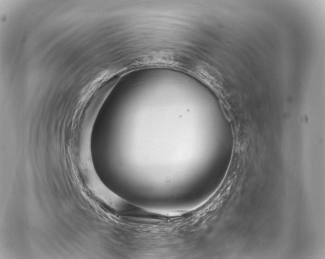 X0000059100193200510101227