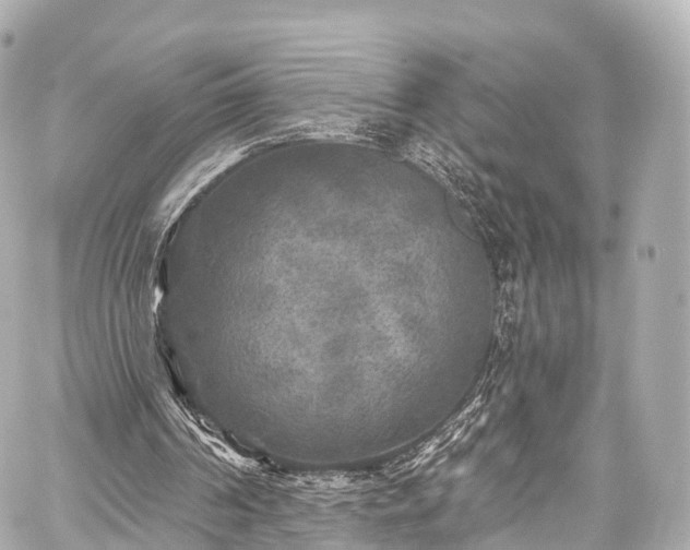 X0000059100194200510101227