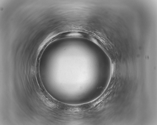 X0000059100195200510101227