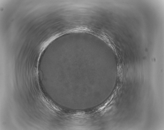 X0000059100196200510101227