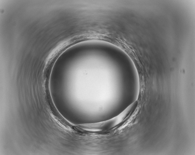 X0000059100197200510101227