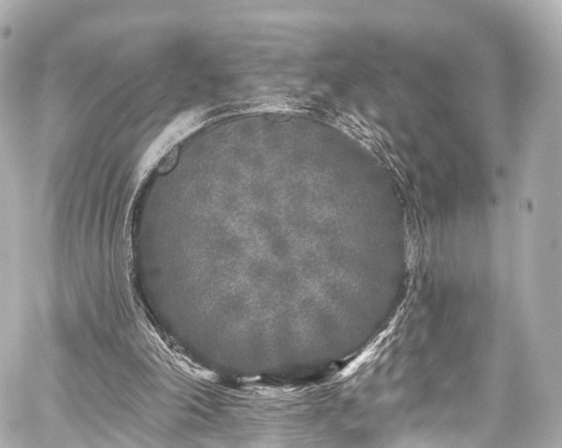 X0000059100198200510101227