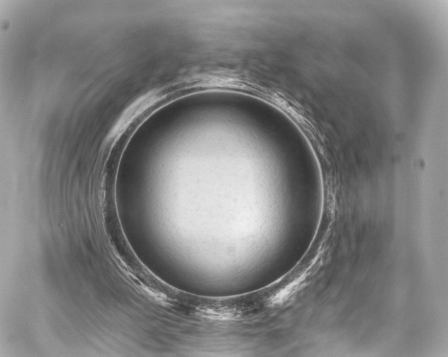 X0000059100199200510101227