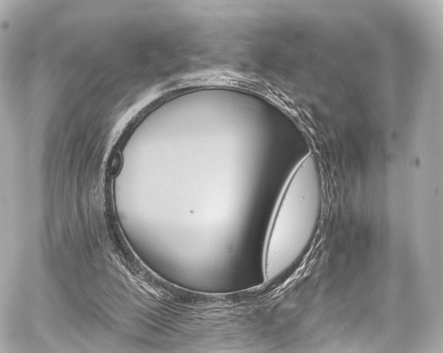 X0000059100200200510101227