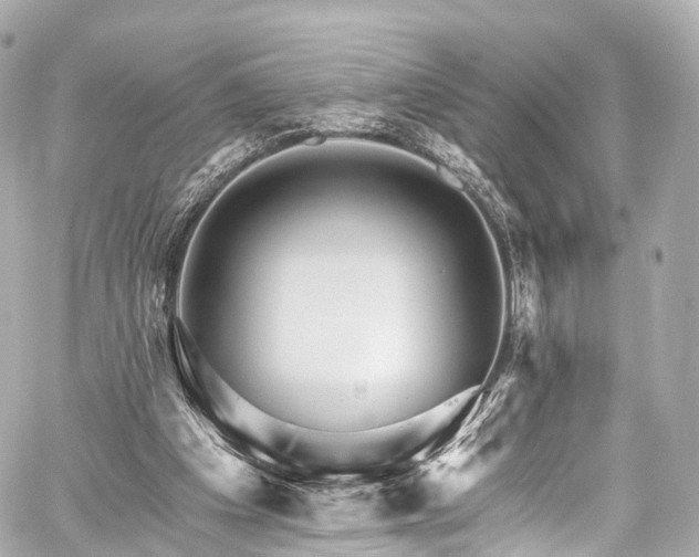 X0000059100201200510101227