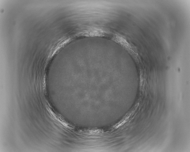 X0000059100202200510101227