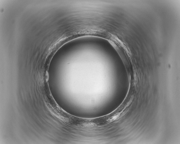 X0000059100203200510101227