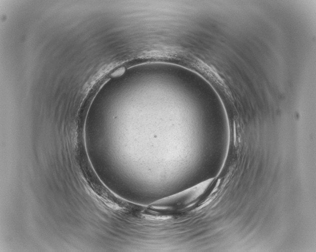 X0000059100204200510101227