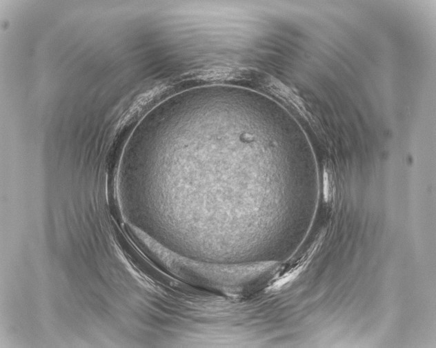 X0000059100205200510101227