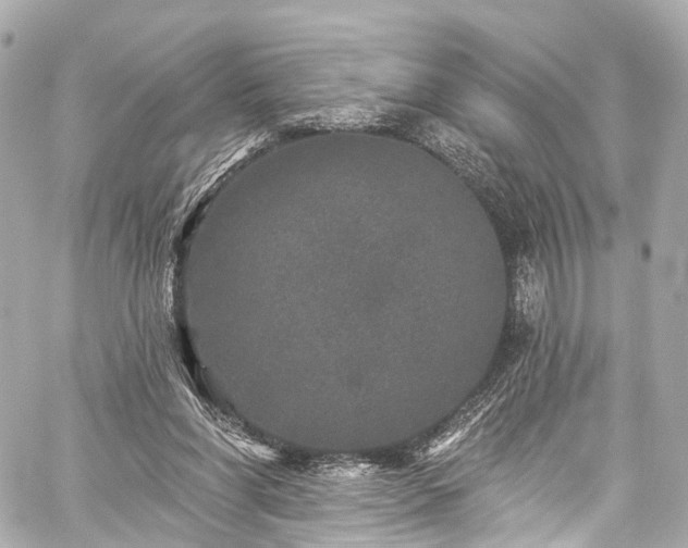 X0000059100206200510101227