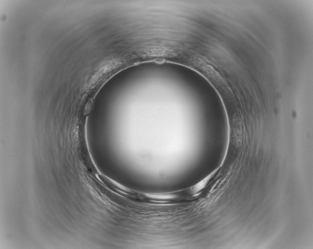 X0000059100207200510101227