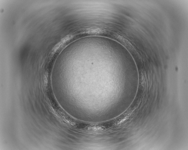 X0000059100208200510101227