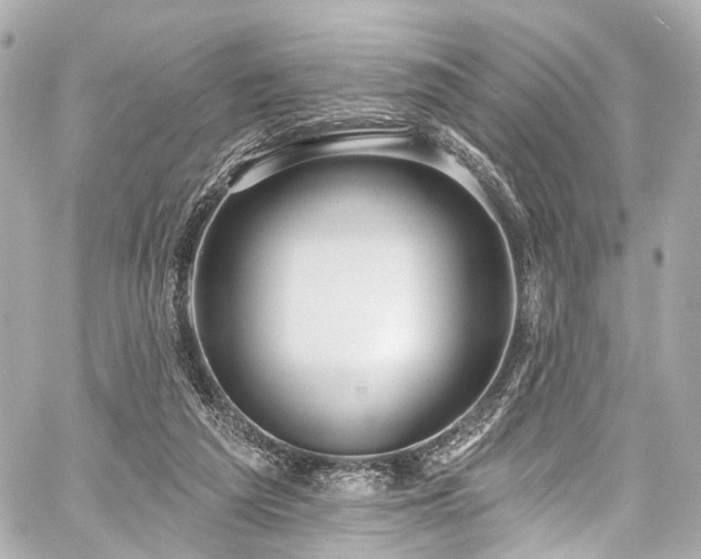 X0000059100209200510101227