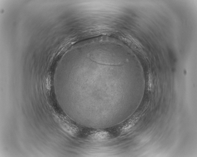 X0000059100210200510101227