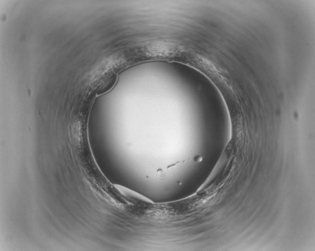 X0000059100211200510101227