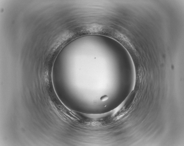 X0000059100212200510101227