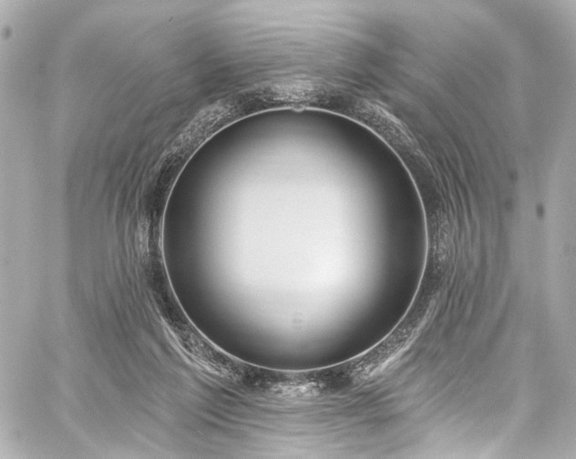 X0000059100213200510101227