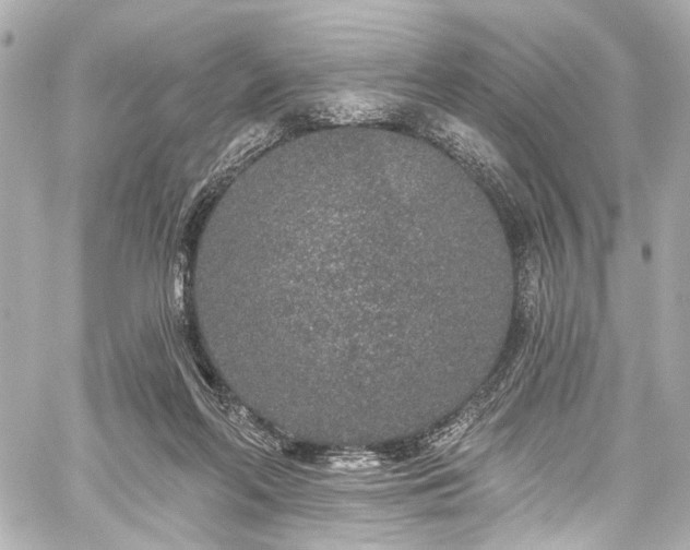 X0000059100214200510101227