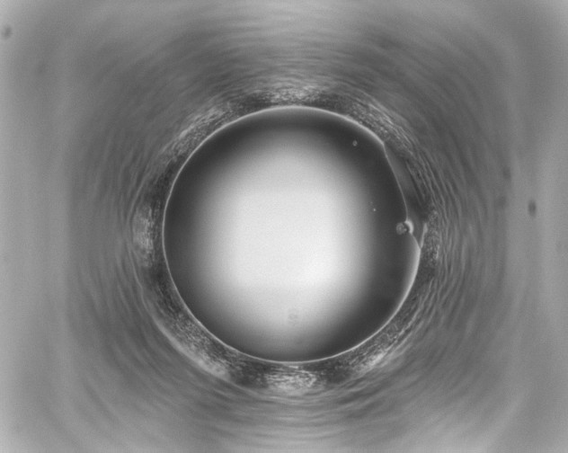 X0000059100215200510101227