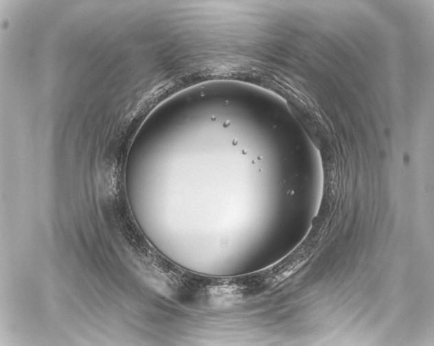 X0000059100216200510101227