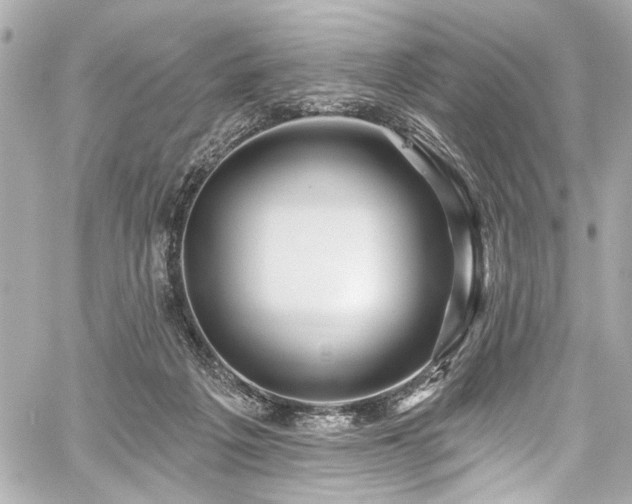 X0000059100217200510101227