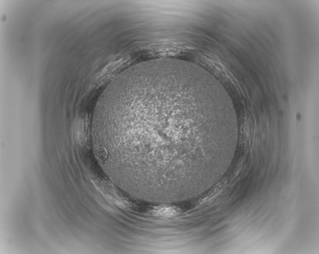 X0000059100218200510101227