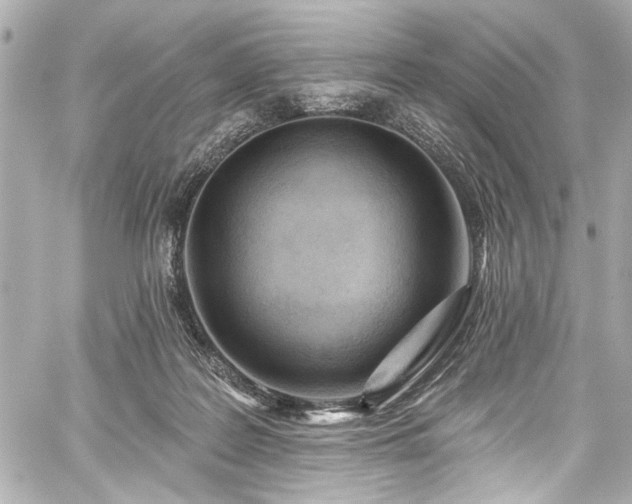 X0000059100219200510101227