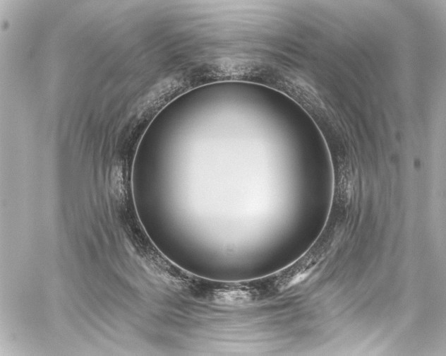 X0000059100220200510101227