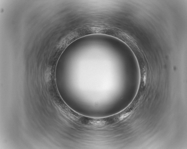 X0000059100221200510101227