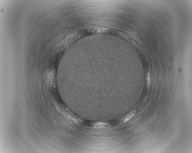 X0000059100222200510101227