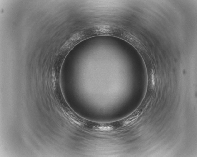 X0000059100223200510101227