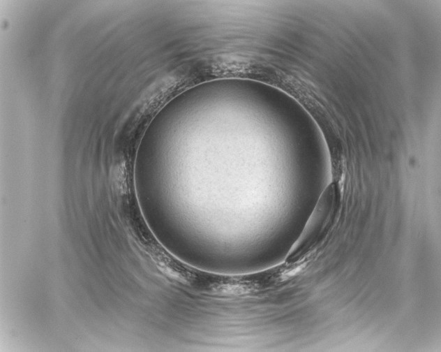 X0000059100224200510101227