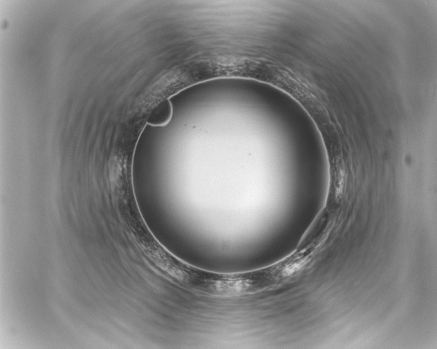 X0000059100225200510101227