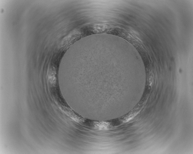 X0000059100226200510101226