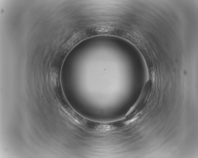 X0000059100227200510101226