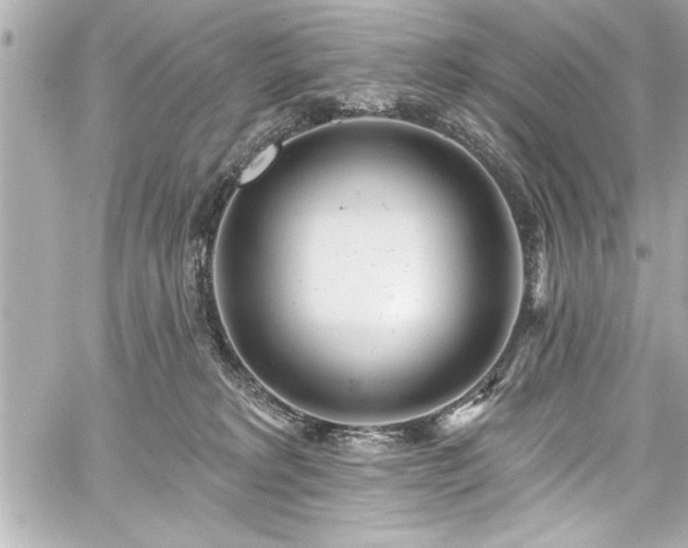 X0000059100229200510101226