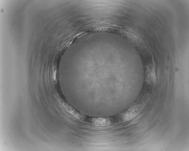 X0000059100230200510101226