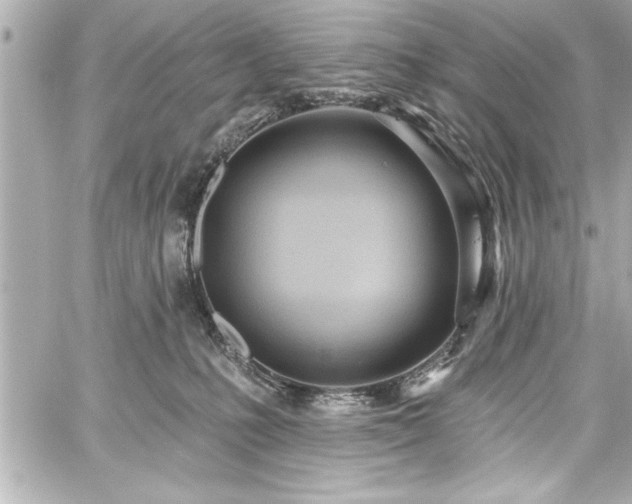 X0000059100231200510101226