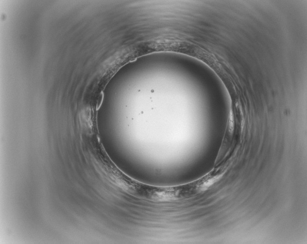 X0000059100232200510101226