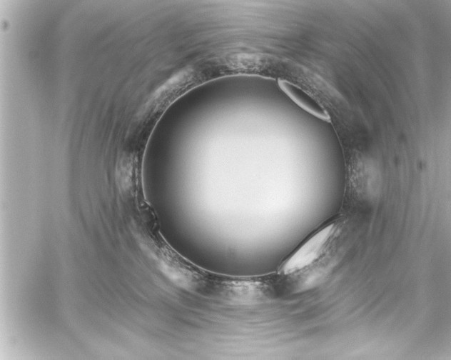 X0000059100233200510101226