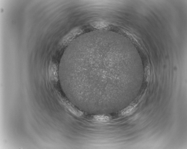 X0000059100234200510101226