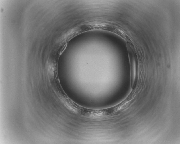 X0000059100235200510101226