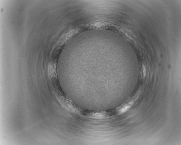 X0000059100236200510101226