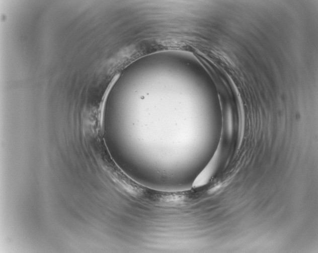 X0000059100237200510101226