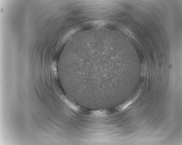 X0000059100238200510101226