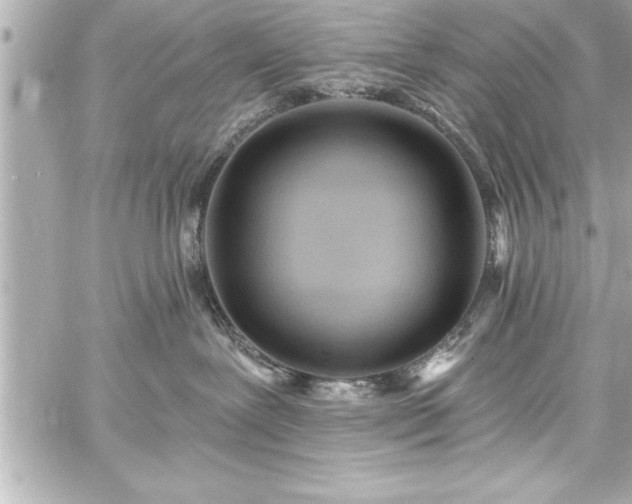 X0000059100239200510101226