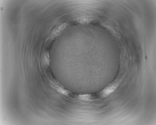 X0000059100240200510101226